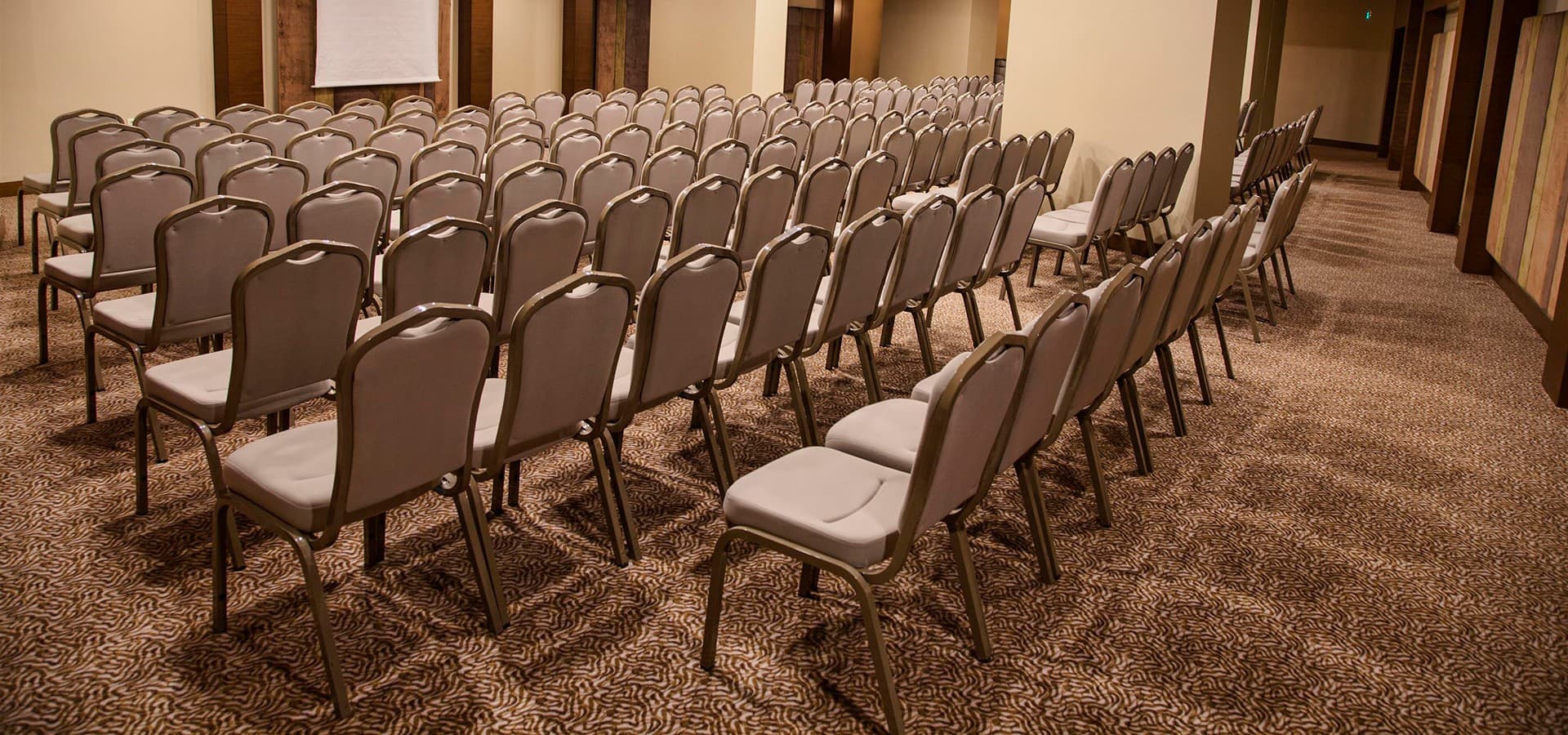 Meetings 5