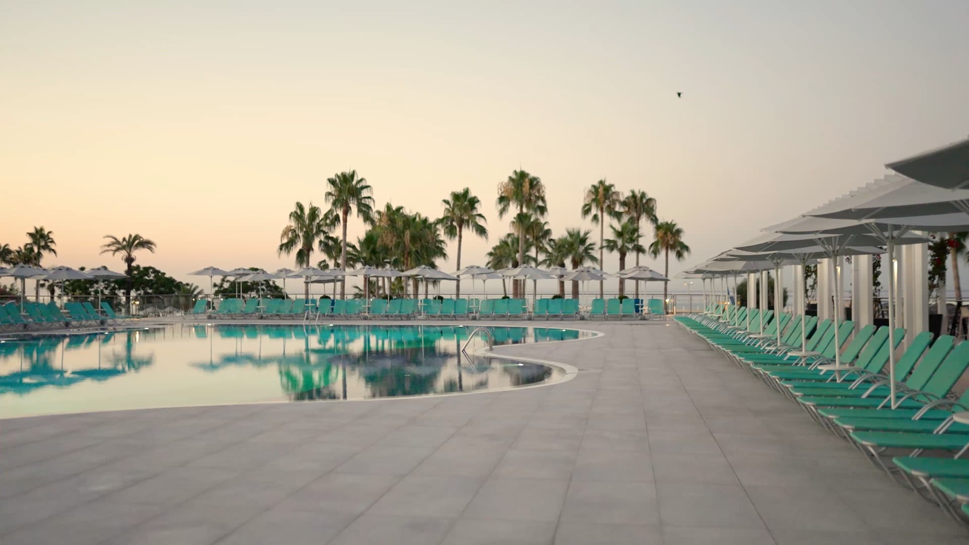 Pool and sun loungers among palm trees at sunrise